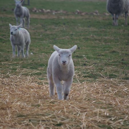 Woodhouse Farm Lodge スポルディング エクステリア 写真